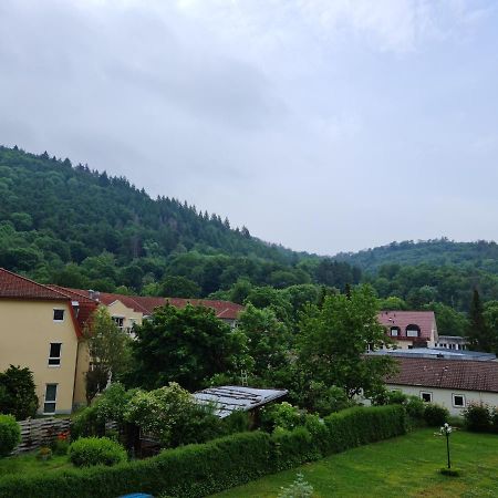 Pension Kreihe Im Harz 바트라우터베르크 외부 사진